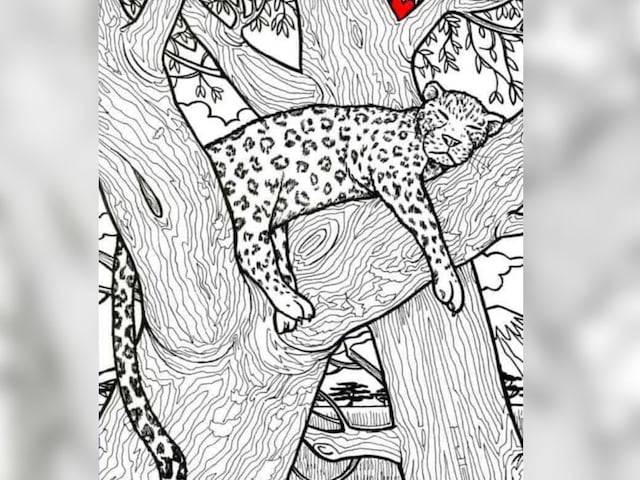 leopard-illusion-2-2-2025-03-7055305bcf608bba4a2250cb3b593cac Fish to find in the picture, 90 percent people failed, did you get? Time is 7 seconds ...