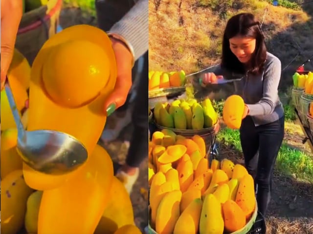 mango-seedless-2025-03-4067f02b5ea0e352569d778d5f8b58f8 The girl was standing for mangoes, cut and shown, then the seeds did not come out, water came in the mouth of people!