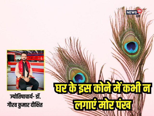 ⁠घर के किस कोने में रखना चाहिए मोर पंख? कहीं आप तो नहीं कर रहें गलती!