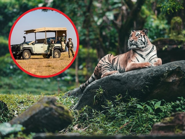 भारत के 6 शानदार नेशनल पार्क, जहां जिंदगी में एक बार जरूर जाना चाहिए! भारत के 6 शानदार नेशनल पार्क, जहां जिंदगी में एक बार जरूर जाना चाहिए!
