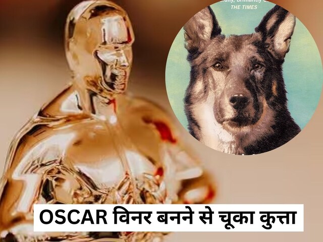 Oscar 2025: Hollywood dog who worked in 27 films