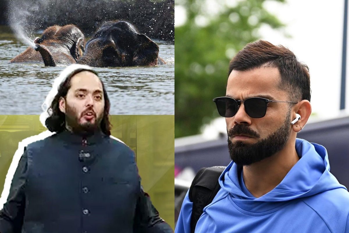 कोहली ने दिल खोलकर की वनतारा की तारीफ, अनंत अंबानी की पहल को शानदार बताया