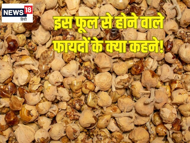 औषधीय गुणों से भरपूर ये फूल, डायबिटीज और अनिद्रा में फायदेमंद
