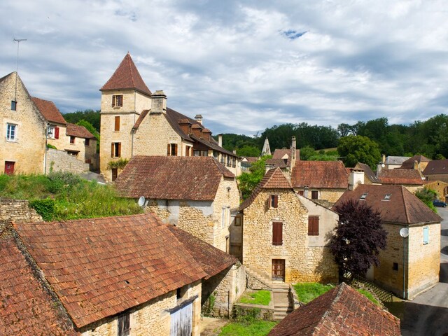 फ्लैट बेचकर कपल ने खरीद लिया पूरा गांव, पाल रहे हैं बकरियां और मुर्गियां!
