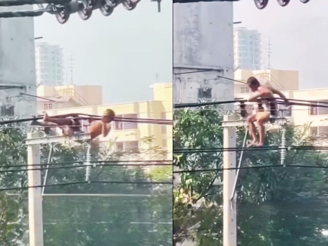 'देसी माल का पावर देखो', हाईटेंशन तार पर लटककर शख्स करने लगा पुल अप्स! 'देसी माल का पावर देखो', हाईटेंशन तार पर लटककर शख्स करने लगा पुल अप्स!
