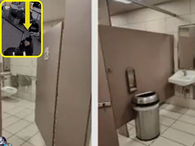 प्लेन में चढ़ने के लिए महिला ने हदें की पार, कुत्ते को टॉयलेट में डूबोई और...