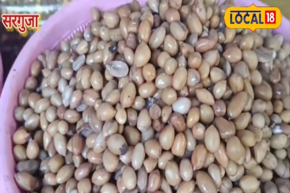 बेटे ने संभाली 32 साल पुरानी विरासत, अब जड़ी मूंग और चने से हो रही जमकर कमाई