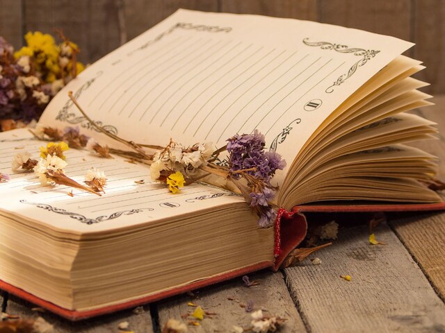 किताब में रखा है सूखा फूल? ये आर्टिकल पढ़ने के बाद आज ही निकाल देंगे उसे किताब में रखा है सूखा फूल? ये आर्टिकल पढ़ने के बाद आज ही निकाल देंगे उसे