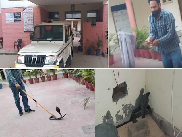 पुलिसकर्मियों ने पुलिस स्टेशन छोड़ दिया, अंदर जाने के लिए साहस इकट्ठा नहीं कर सके, पता है कि क्यों पुलिसकर्मियों ने पुलिस स्टेशन छोड़ दिया, अंदर जाने के लिए साहस इकट्ठा नहीं कर सके, पता है कि क्यों