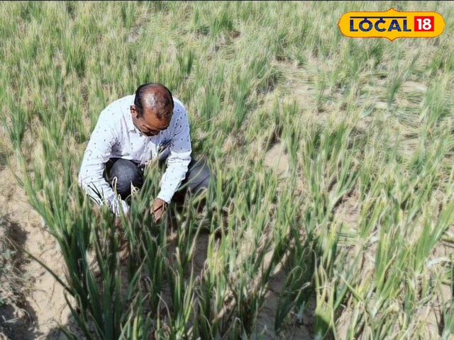 किसान