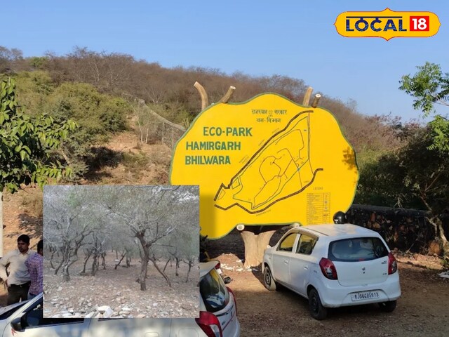 हमरगढ़ इको पार्क में आसान भटकते हुए पर्यटक, प्रवेश शुल्क कम कर दिया