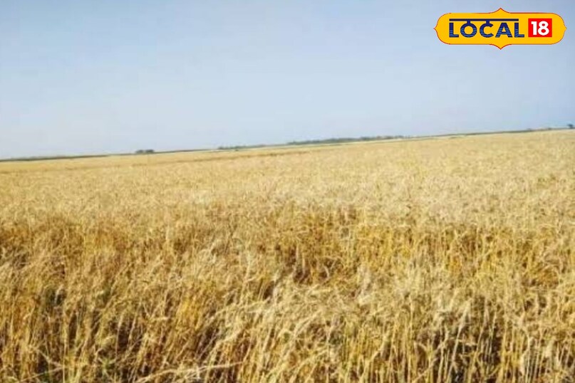 मशीन मशीन