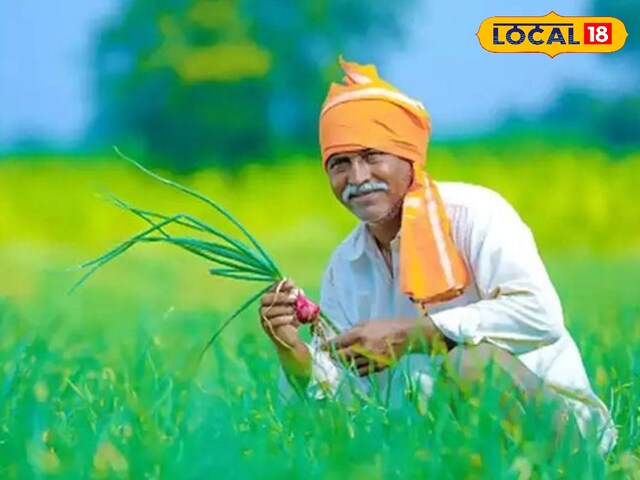 किसानों के लिए अच्छी खबर, सरसों की खरीद की सीमा 30 जून तक 40 क्विंटल है