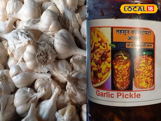 इस खास विधि से उगाया लहसुन, फिर बनाया अचार, सहारनपुर में होने लगी स्वाद की चर्चा इस खास विधि से उगाया लहसुन, फिर बनाया अचार, सहारनपुर में होने लगी स्वाद की चर्चा