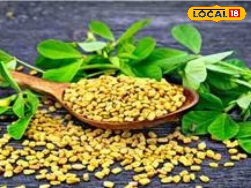 Dr. Santosh Maurya, an Ayurveda specialist of Khargone, says that, fenugreek seeds in the kitchen of the house are not only useful in enhancing the taste of vegetables, but also provide improvement by removing the toxins present in the skin. Dr. Santosh Maurya, an Ayurveda specialist of Khargone, says that, fenugreek seeds in the kitchen of the house are not only useful in enhancing the taste of vegetables, but also provide improvement by removing the toxins present in the skin.