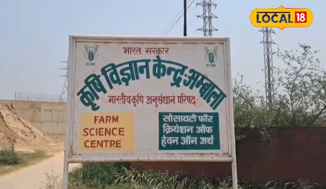 कृषि कृषि