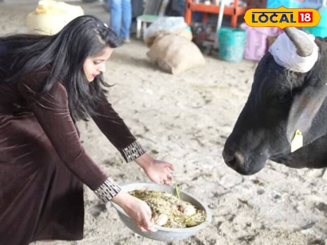 बेजुबान