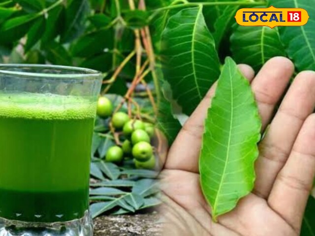 ये लोग भूलकर भी न खाएं नीम के पत्ते, सेहत को हो सकता है भारी नुकसान; जानें