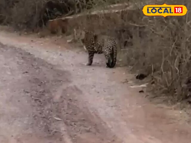 सड़क