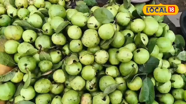 Guava Guava