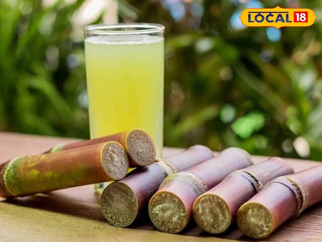 Sugarcane Sugarcane
