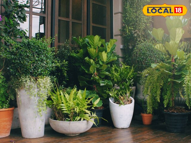 गर्मियों