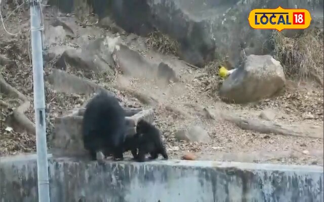 पर्वत