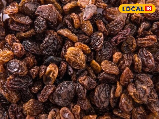 Benefits of Munakka: मुनक्का है सुपरफूड, टाइफाइड, खून की कमी जैसी बीमारियों में रामबाण, शरीर रहेगा तंदुरुस्त