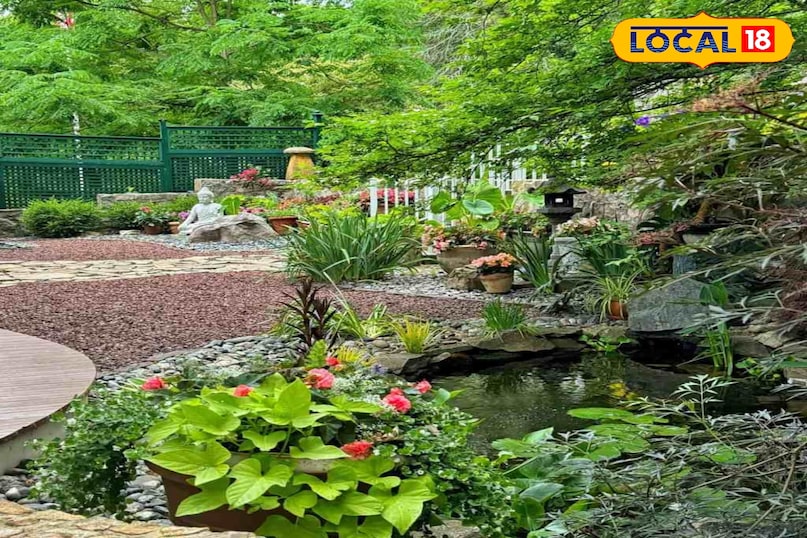 How do you take care of plants in monsoon