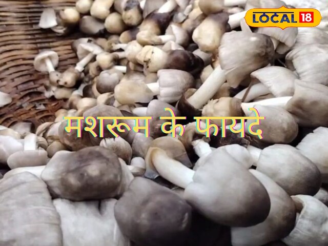 Mushroom