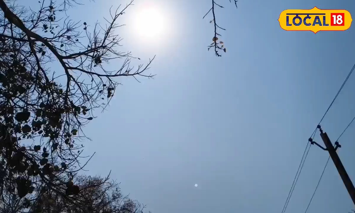 छत्तीसगढ़ में तापमान 44°C पार, हीटवेव को लेकर IMD ने जारी की रेड अलर्ट, गर्मी