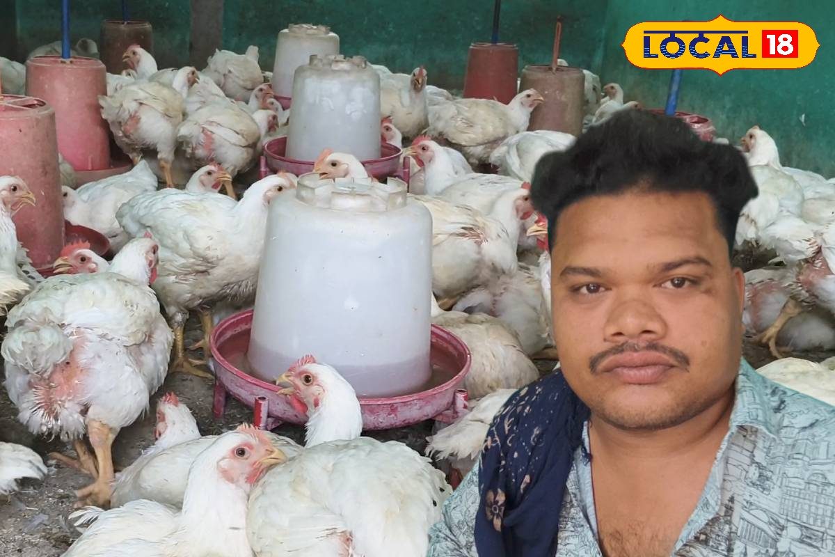 ऑनलाइन ऑर्डर, ऑफलाइन धमाल! सुनील की चिकन दुकान बन गई मुनाफे की मशीन