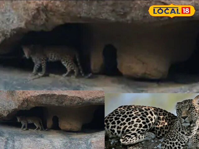 राजस्थान