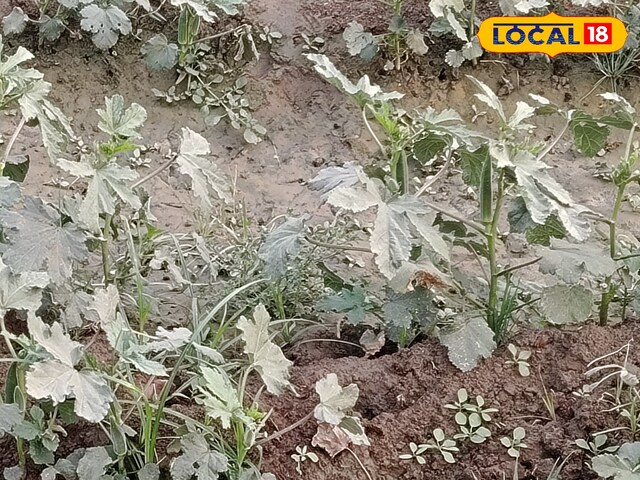 साहुपुरा