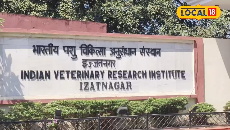 एग्रीकल्चर फील्ड में बनाना चाहते हैं करियर, तो IVRI ने शुरू किए हैं ये खास कोर्स, खूब है डिमांड