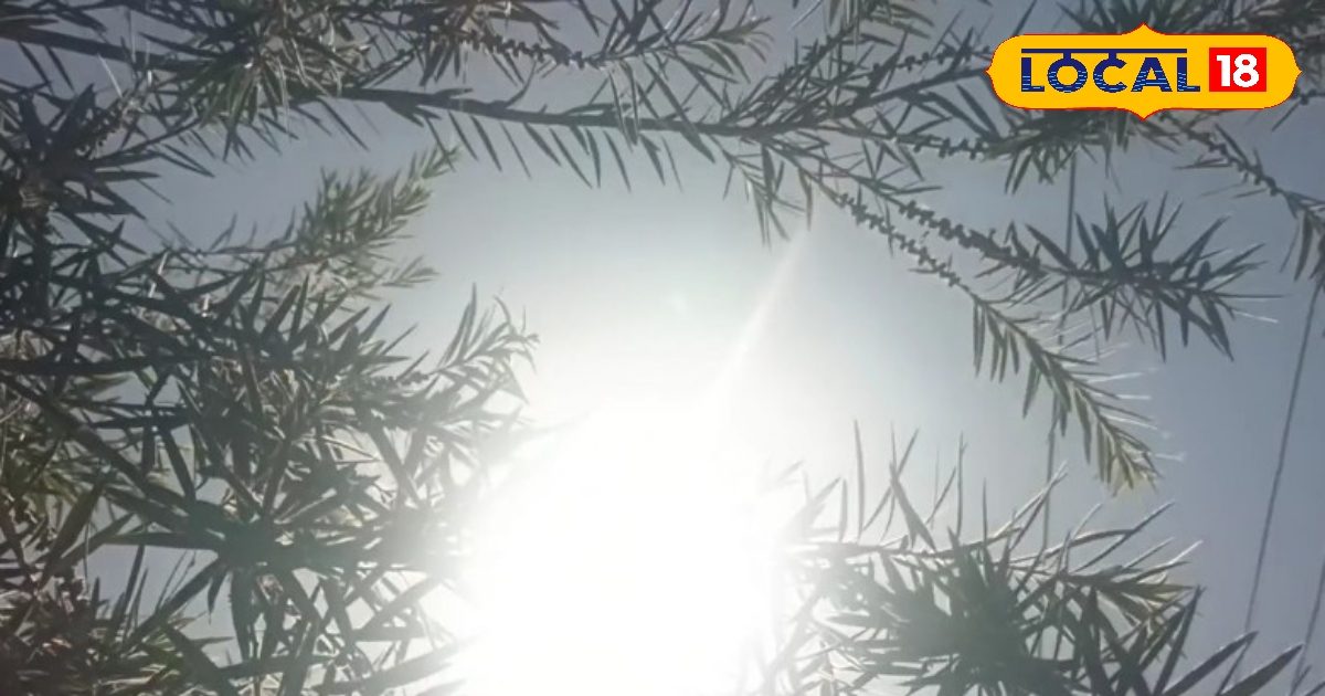 Weather Effect: वाराणसी में हीट वेव को लेकर अलर्ट पर प्रशासन, अस्पताल में बेड रिजर्व तो नगर निगम को भी दिए गए ये निर्देश