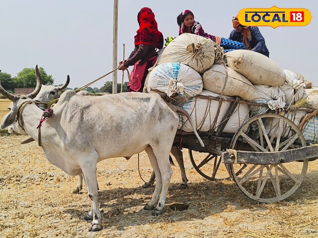 बैलगाडी 