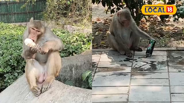 गर्मी गर्मी