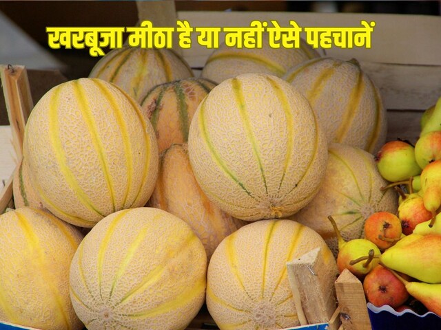 खरबूजा काटने पर निकल जाता है कच्चा, फीका, खरीदते समय ये 4 आसान टिप्स आजमाएं
