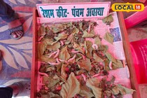 नौकरी नहीं तो क्या हुआ, 100 रुपये से शुरू करें ये बिजनेस, सरकार दे रही फ्री...