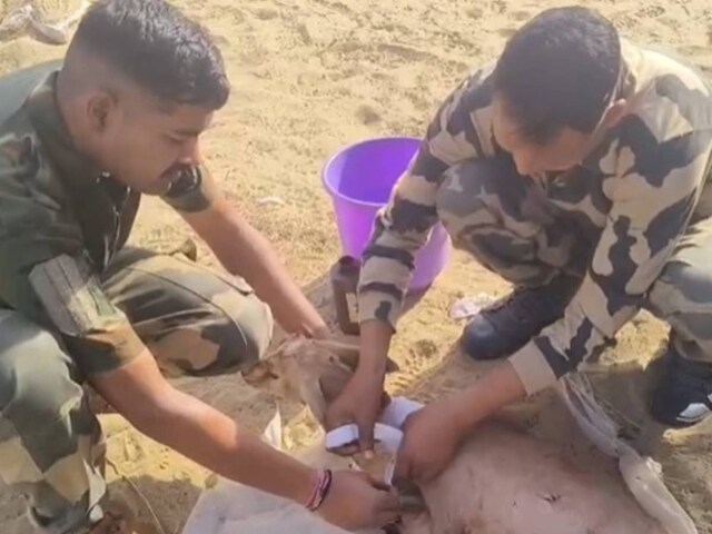 भारत-पाक की सरहद पर फंसा मासूम हिरण, BSF के जवानों ने बच्चे की तरह संभाला