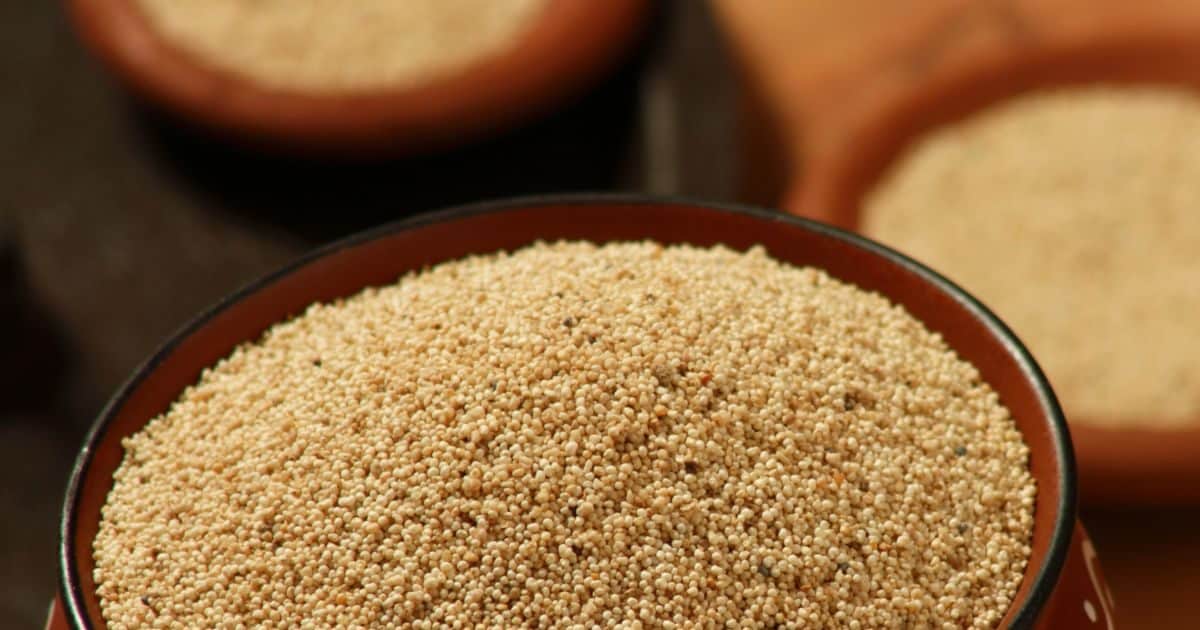 शरीर के पित्त दोष को फ्लश आउट करते हैं ये दानें, खून को साफ कर बॉडी को करता है शुद्ध, आयुर्वेद के डॉक्टर ने बताए इसके फायदे