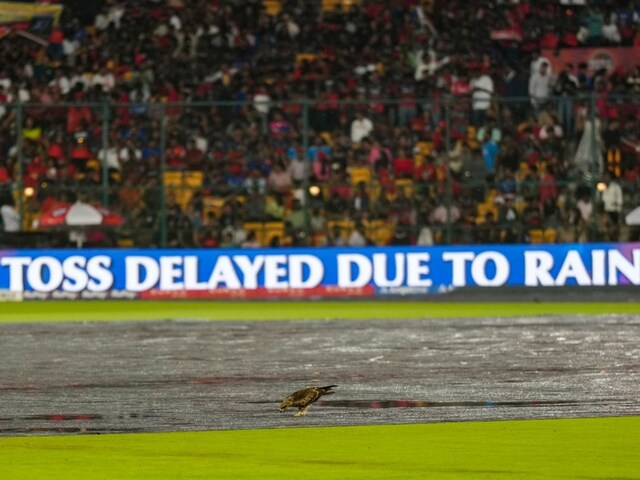 LIVE: Rain stops, RCB will bat first in 14-14 overs match, Maxwell out