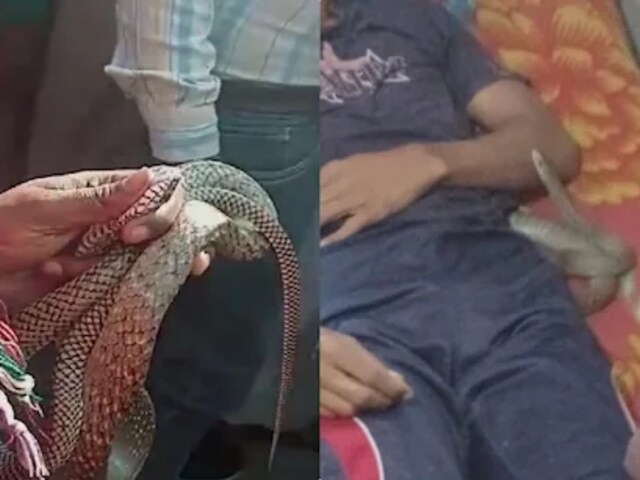 प्रेमी संग मिलकर मारा, 10 बार सांप से डंसवाया, मेरठ में एक और पति की हत्या