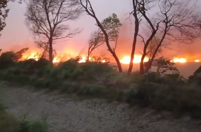 किसानों को मिट्टी में कड़ी मेहनत मिली, आग के कारण राख के लिए 700 एकड़ की फसल जल गई किसानों को मिट्टी में कड़ी मेहनत मिली, आग के कारण राख के लिए 700 एकड़ की फसल जल गई