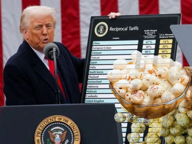 Trump, Tariff and Magaru's Makhana, a chance to convert disaster into opportunity