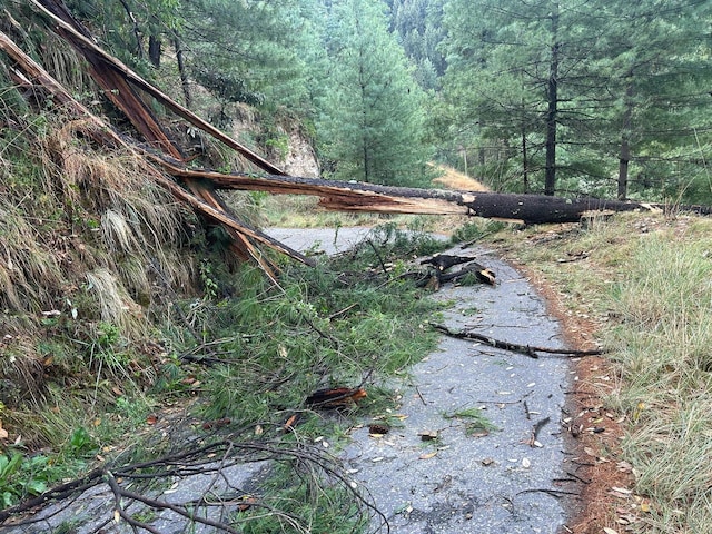 ईरान से तूफान, 60 KM की रफ्तार और भारी बारिश, क्या हिमाचल में फिर होगी तबाही? ईरान से तूफान, 60 KM की रफ्तार और भारी बारिश, क्या हिमाचल में फिर होगी तबाही?