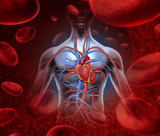 What disease is caused by anemia, what should be eaten for this What disease is caused by anemia, what should be eaten for this