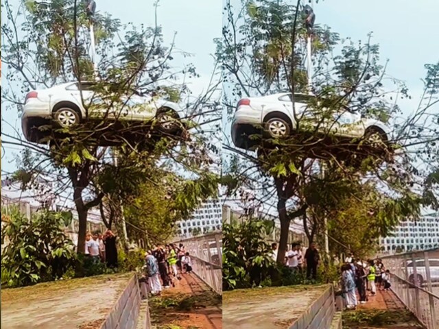 car-video-2025-04-a99f5152554986039da85fdad65123c8 'Land' on the tree has become a car, people are looking for the driver after seeing the scene, the public started asking- 'How did you do it?'