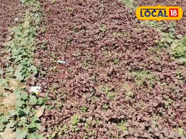 गर्मी गर्मी